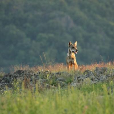  S5h0576 1 Web